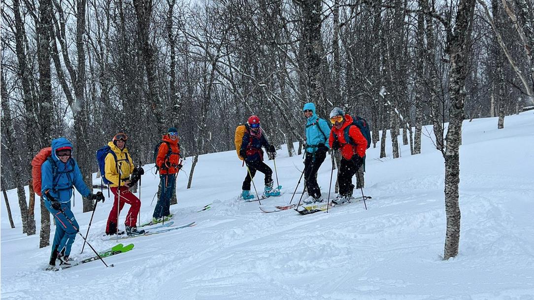 Ski Tour in Senja