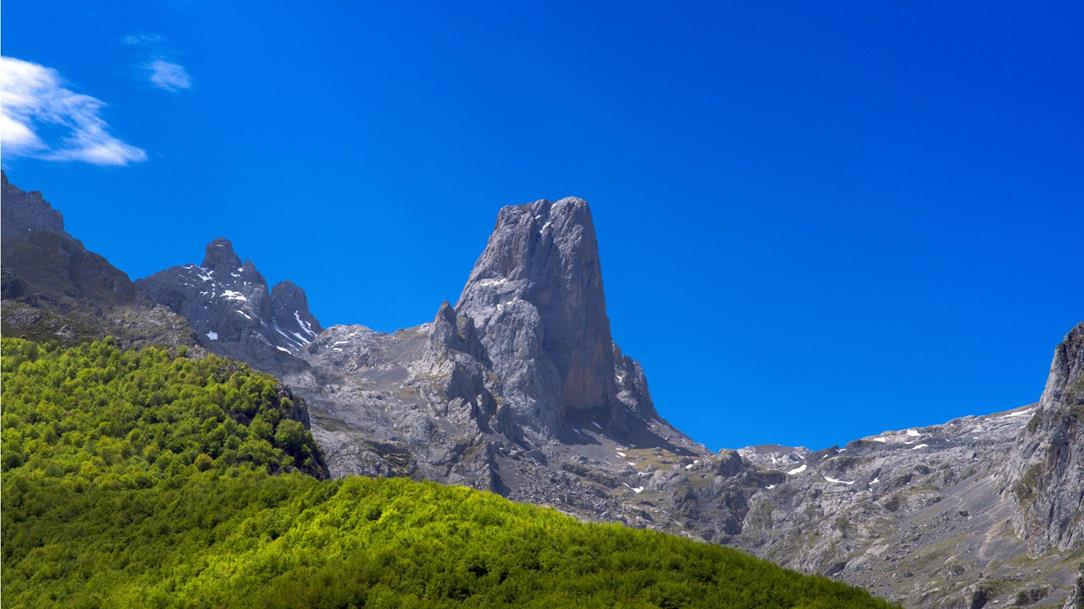 picos-4