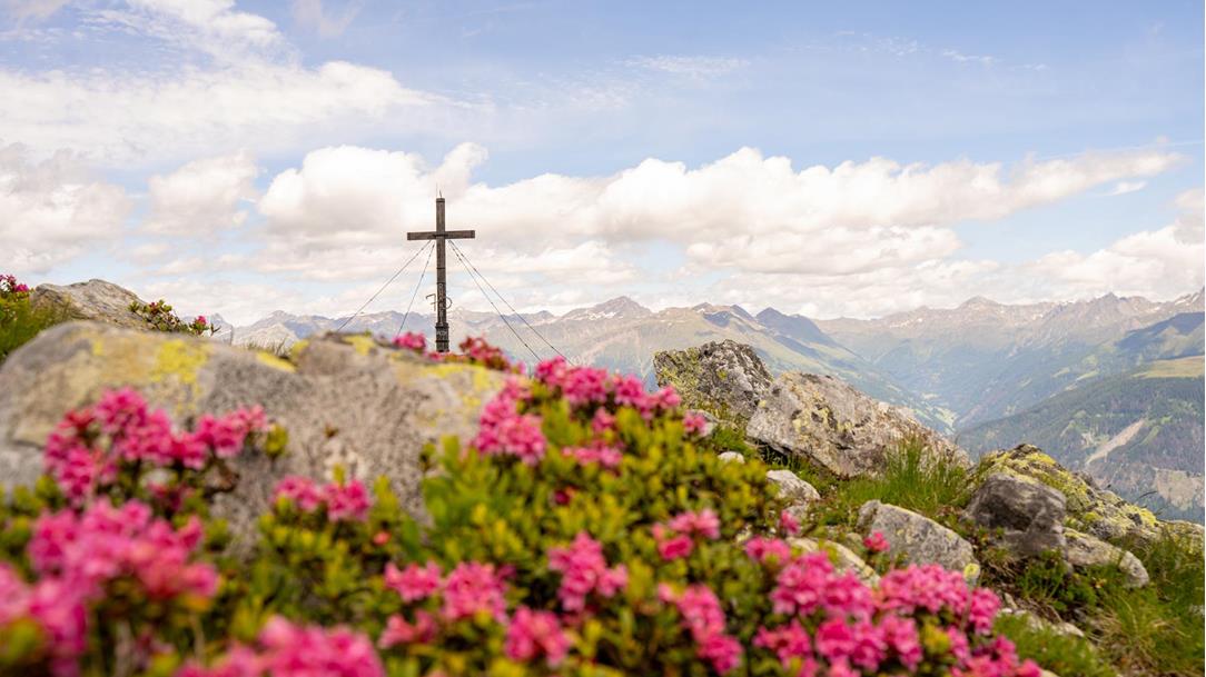 wanderung-almrosen-karnischer-hoehenweg-heimkehrerkreuz-sillianer-huette-sextener-dolomiten-osttirol-juli-sommer-2024-lena-sulzenbacher-26