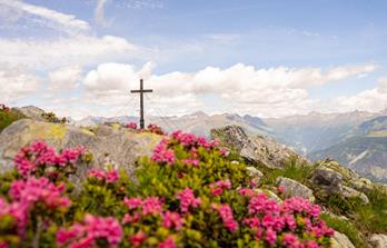 Wanderreise GRENZENLOSER KARNISCHER HÖHENWEG - 5 Tage