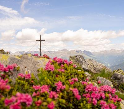 wanderung-almrosen-karnischer-hoehenweg-heimkehrerkreuz-sillianer-huette-sextener-dolomiten-osttirol-juli-sommer-2024-lena-sulzenbacher-26