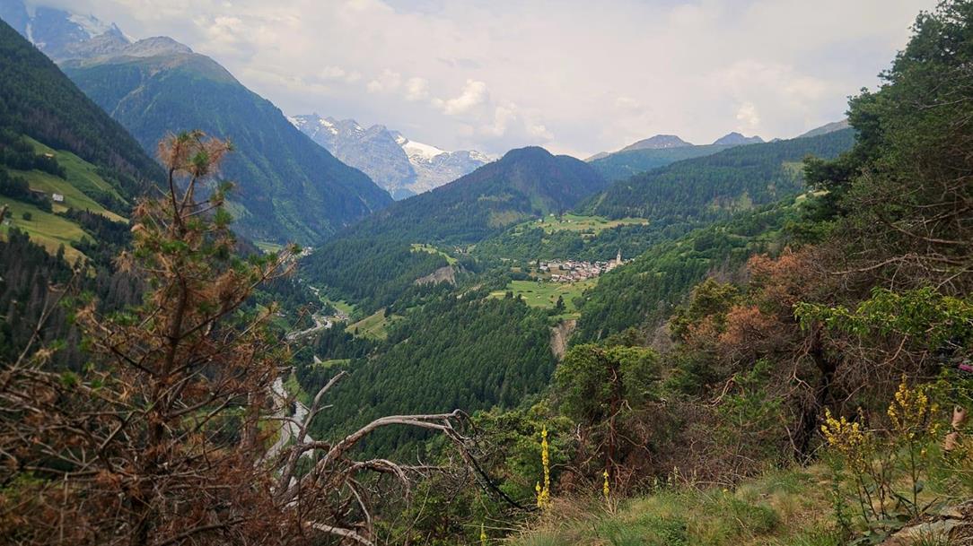 wanderwoche-ortler-bergdorf-stilfs-pixby-wanderfuehrer-andreas-pittl