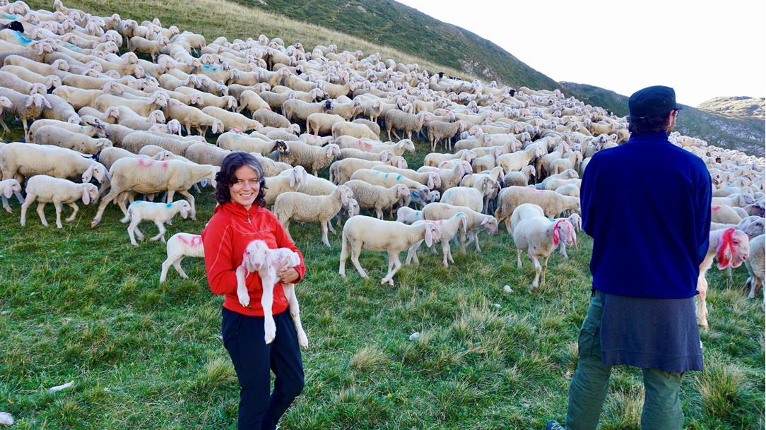 Two sheepherders with their animals