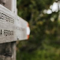 008-wild-trail-web-silbersalz