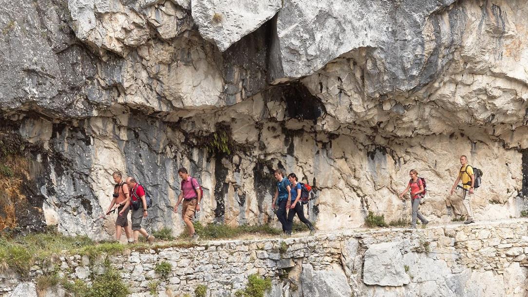 picos-6