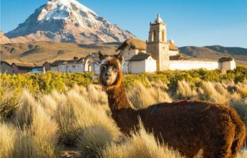 Trekking in Bolivia