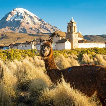 Bergsteigerreise Bolivien – Huayna Potosí & Salar de Uyuni