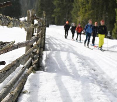 Ski Tour