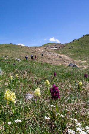mercantour-alpi-marittime-wandern-janina-2026-swa0013-78