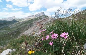 Individuell Wandern - Highlights der Dolomiten