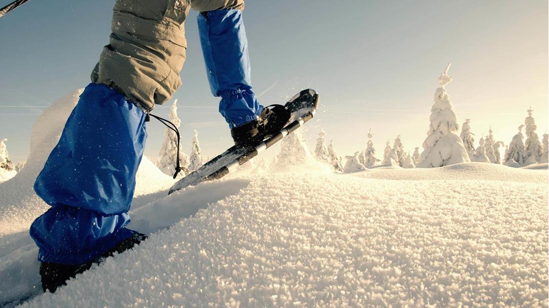 Snowshoe Hike