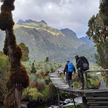 Bergreise Ruwenzori, 5109m & Gorilla Trekking Uganda