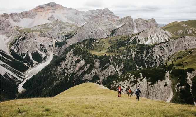 029-wild-trail-web-silbersalz
