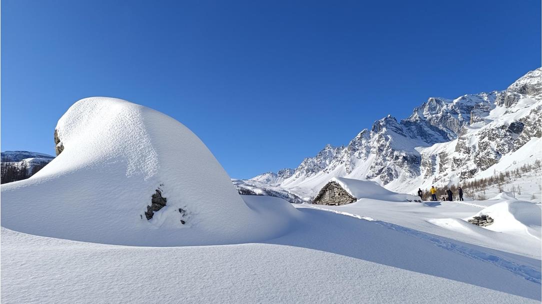 follow-the-snow-2