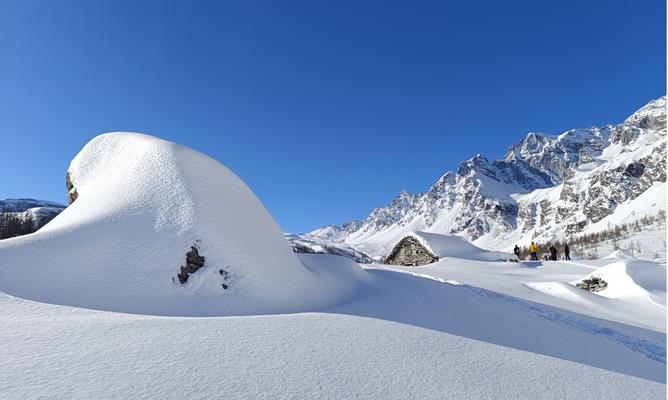 Follow the Snow