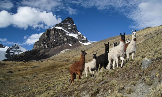Trekkingreise - Bolivien.Cordillera.Real