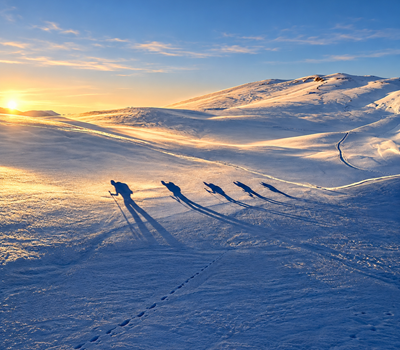 fuenf-skitourenschatten-im-goldenen-morgenlicht