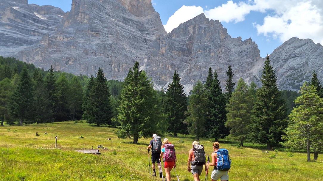 swa0063-alta-via-cortina-mirjam-2025-54