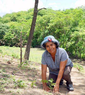 Kommunales Wiederaufforsten in Nicaragua
