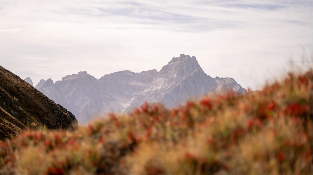 wanderung-karnischer-hoehenweg-heimkehrerkreuz-sillianer-huette-sextener-dolomiten-osttirol-september-sommer-2023-lena-sulzenbacher-28