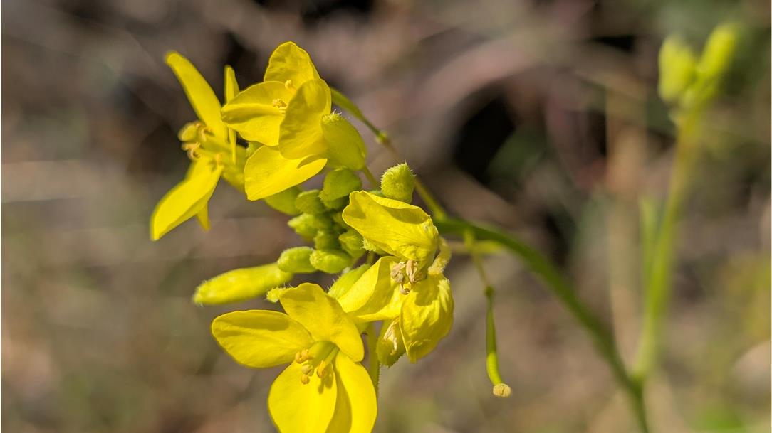 trekking-kapverden-26-mirco-str0100-87