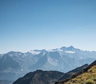 grossglockner-panorama-mit-schaf-alm-defereggental