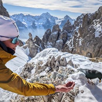 Skitouren BEST OF Pustertal  mit Steffi