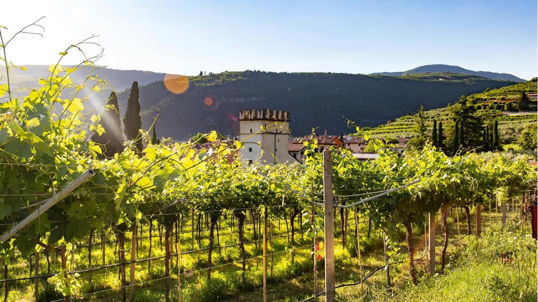 valpolicella