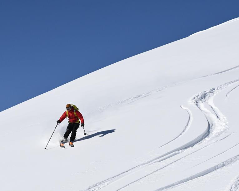 Where Snow We Go - Tiefschnee- Skitechnikkurs