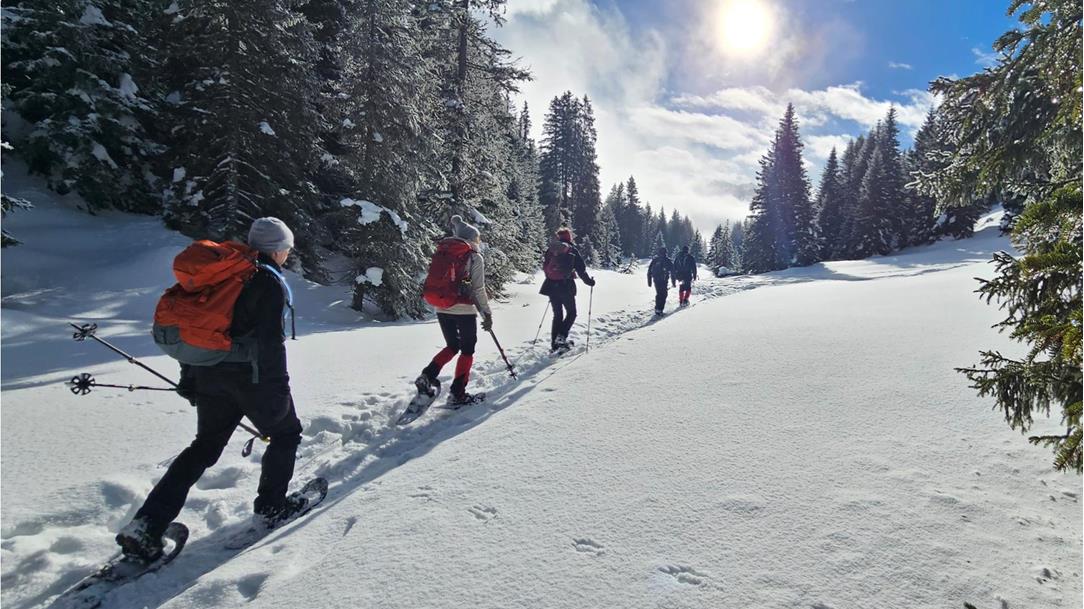 schneeschuhwandern-sattelberg-tirol-c-bergwanderfuehrer-andreas-pittl