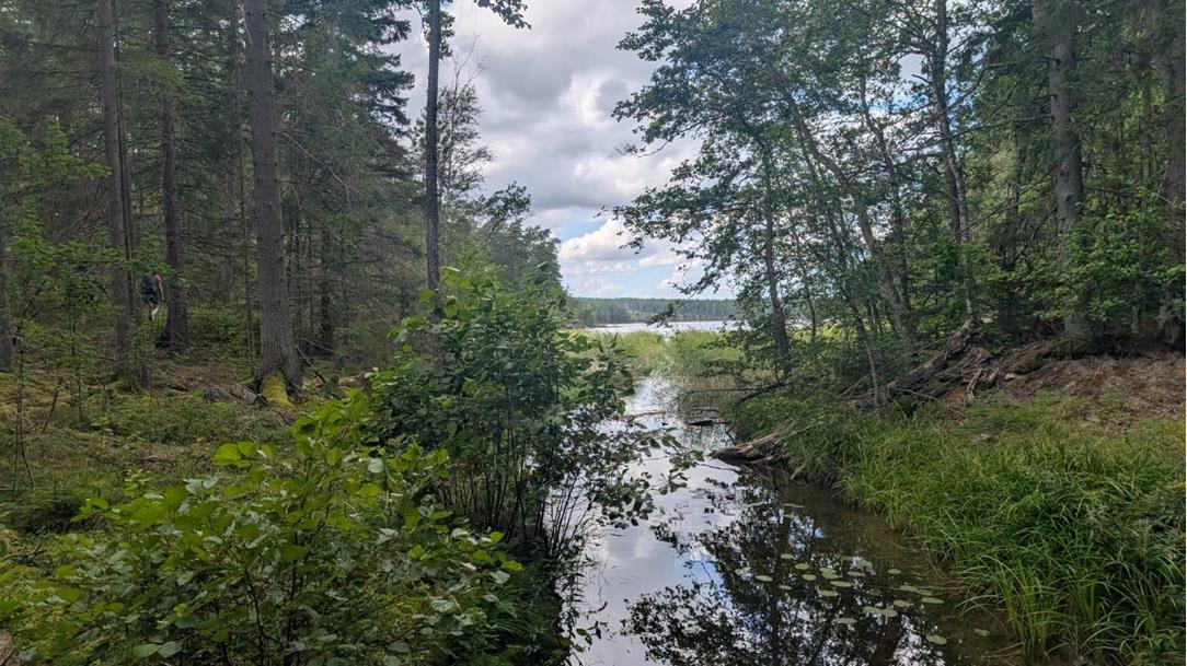 soermlandsleden-wanderreise-schweden-fotos-von-claudia-17