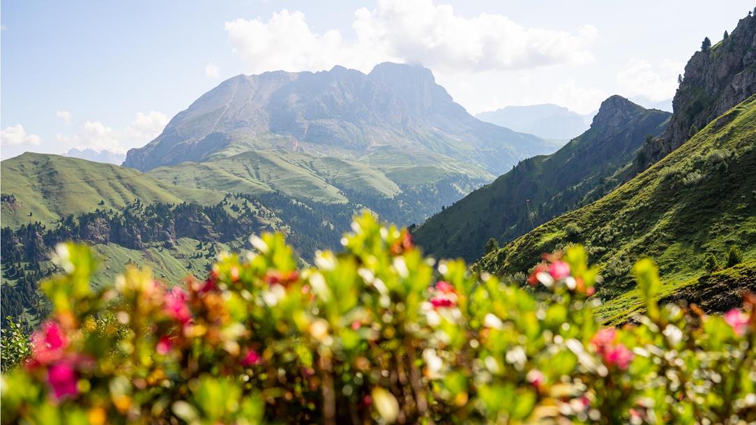 wanderung-val-duron-rosengarten-dolomiten-suedtirol-sommer-2025-lena-sulzenbacher-01