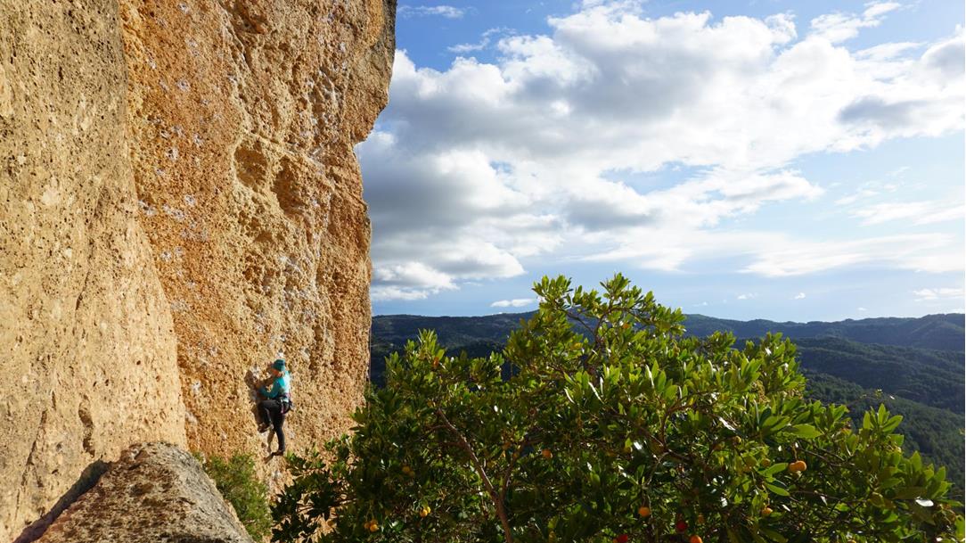 Viaggio alle gole di Verdon