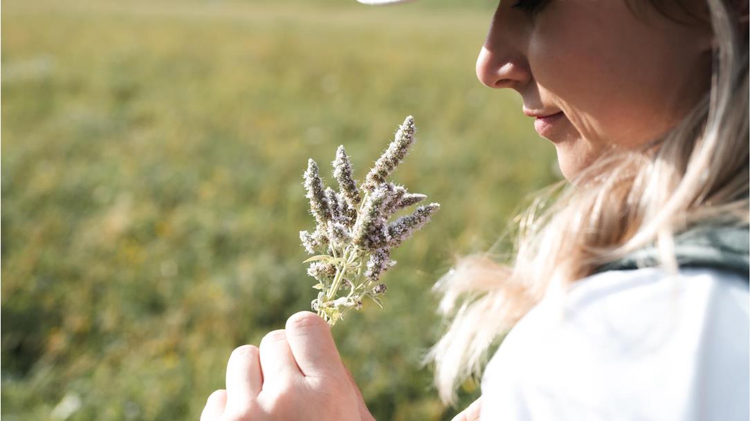 portrait-model-lena-sulzenbacher-obertilliach-hochpustertal-osttirol-august-sommer-2024-louis-geister-01