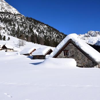 SCHNEEWOCHE Seealpen - Gourmet