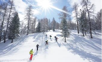 Südtirol - Where Snow We Go