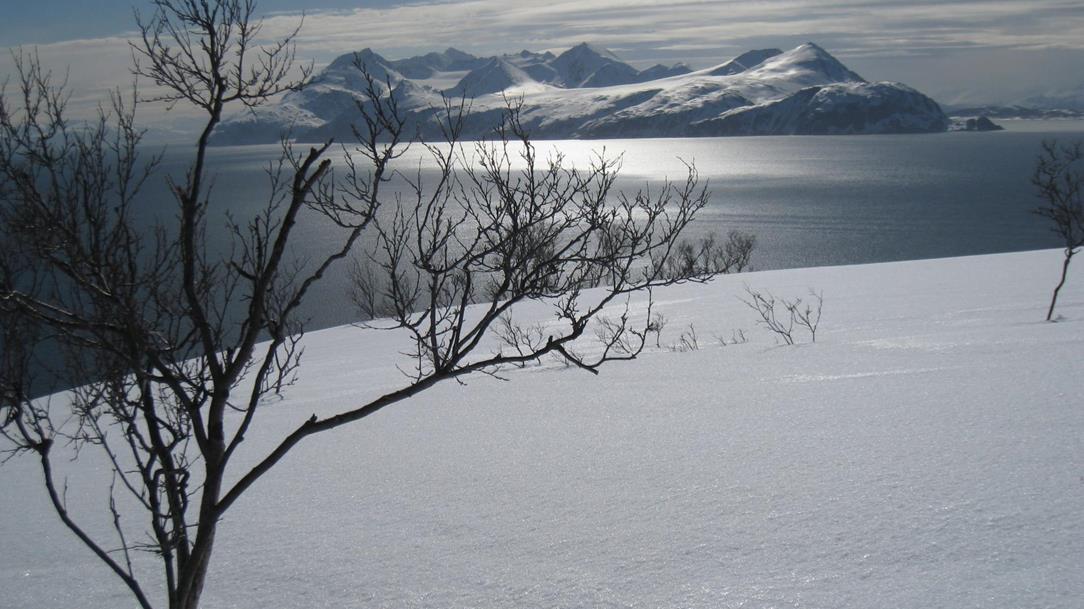 norwegen-skitouren-mit-globo-alpin-19