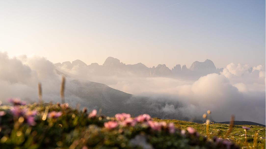sonnenaufgang-wanderung-monte-petz-schlern-schlernhaus-seiser-alm-rosengarten-dolomiten-suedtirol-sommer-2024-lena-sulzenbacher-01
