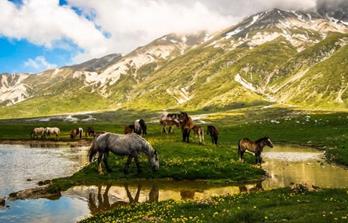 Wanderreise Abruzzen - Wo Hirten & Herden ziehen