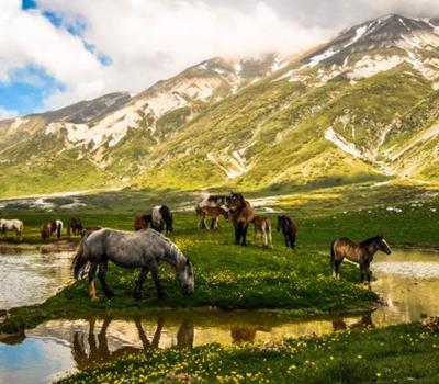 Wanderreise Abruzzen - Wo Hirten & Herden ziehen