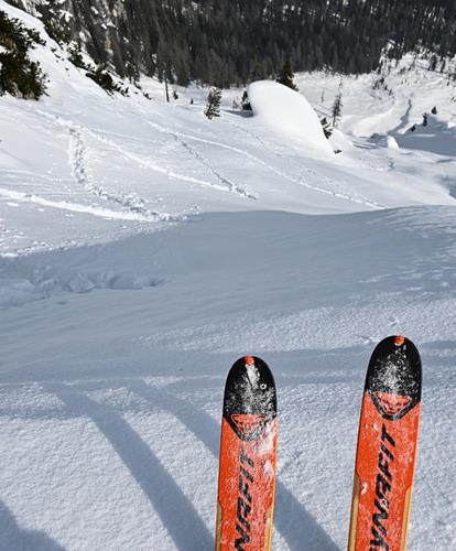 Tiefschnee - Skitechnikkurs