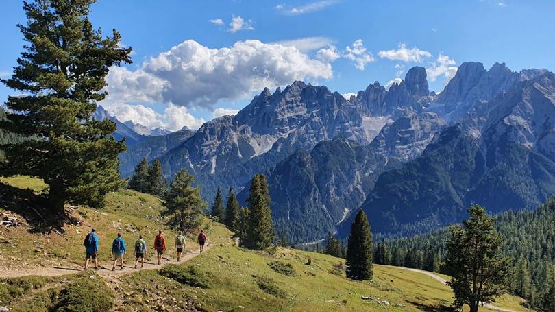 Professionelle Tourenplanung für erlebnisreiches Wandern in den Alpen