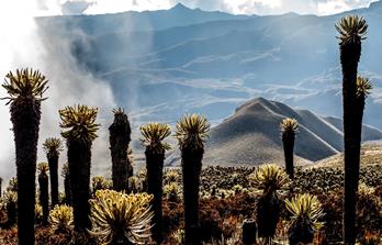 Trekkingreise Kolumbien – Gipfel, Gletscher & Kaffeehochland in Südamerika