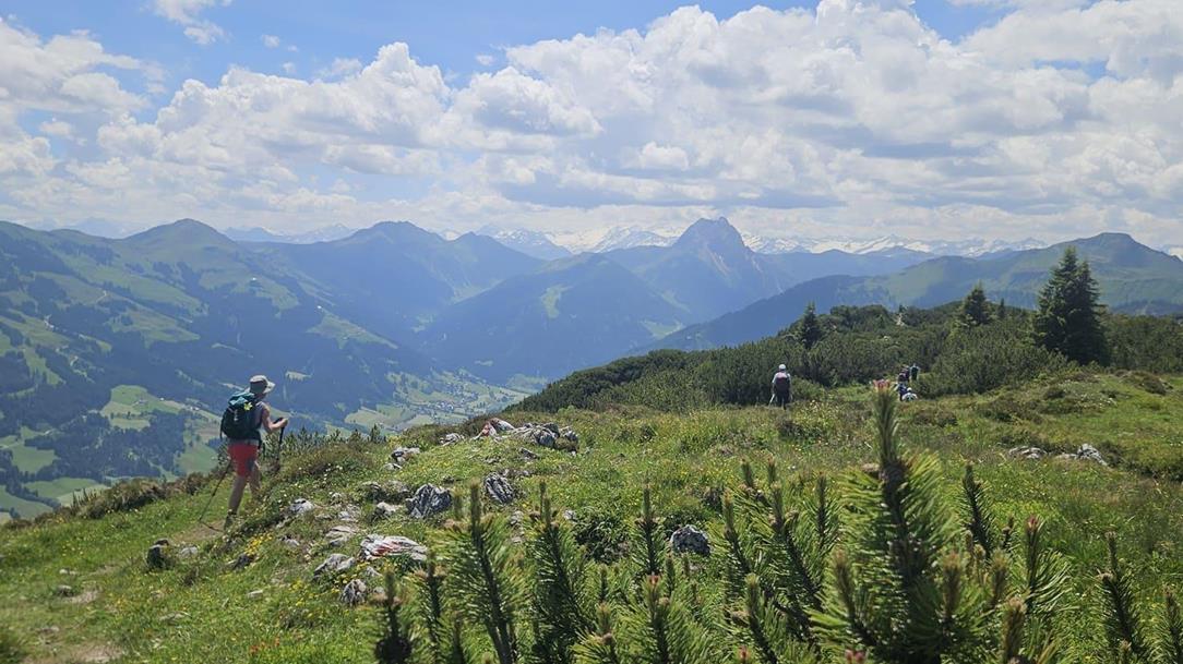 panoramawanderung-kitzbuehler-alpen-pixby-wanderfuehrer-andreas-pittl