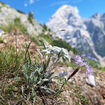 High-altitude trail - Alta Via Cortina