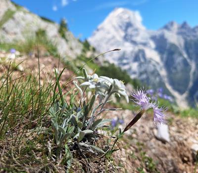 swa0063-alta-via-cortina-mirjam-2025-46