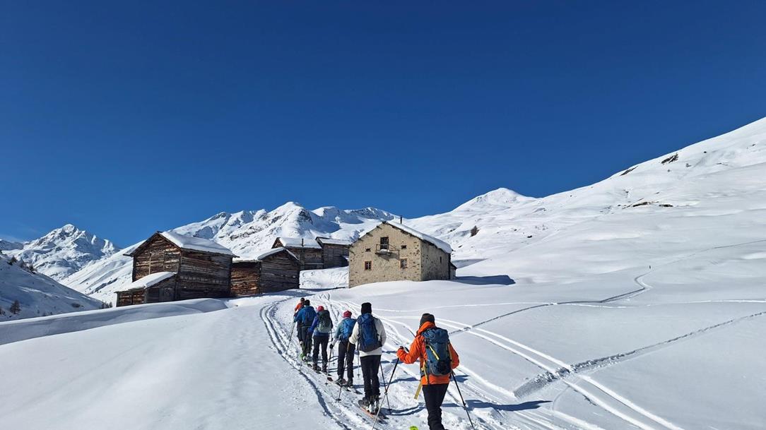 soft-slow-livigno-erwin-26-wsw00143-11