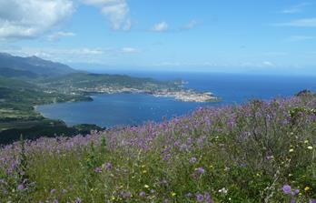 Wanderreise Toskanische Inselwelt - Giglio, Elba, Capraia