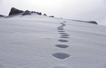 Skitouren Val Fiorentina Genuss