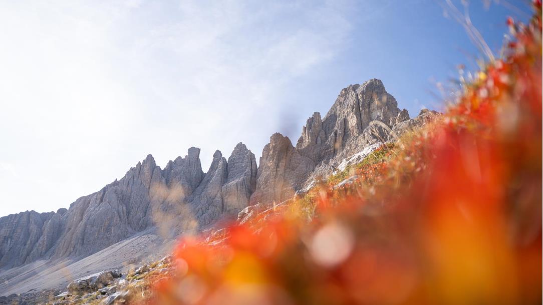 sonnenaufgang-wanderung-drei-zinnen-dolomiten-suedtirol-juli-sommer-2023-lena-sulzenbacher-05